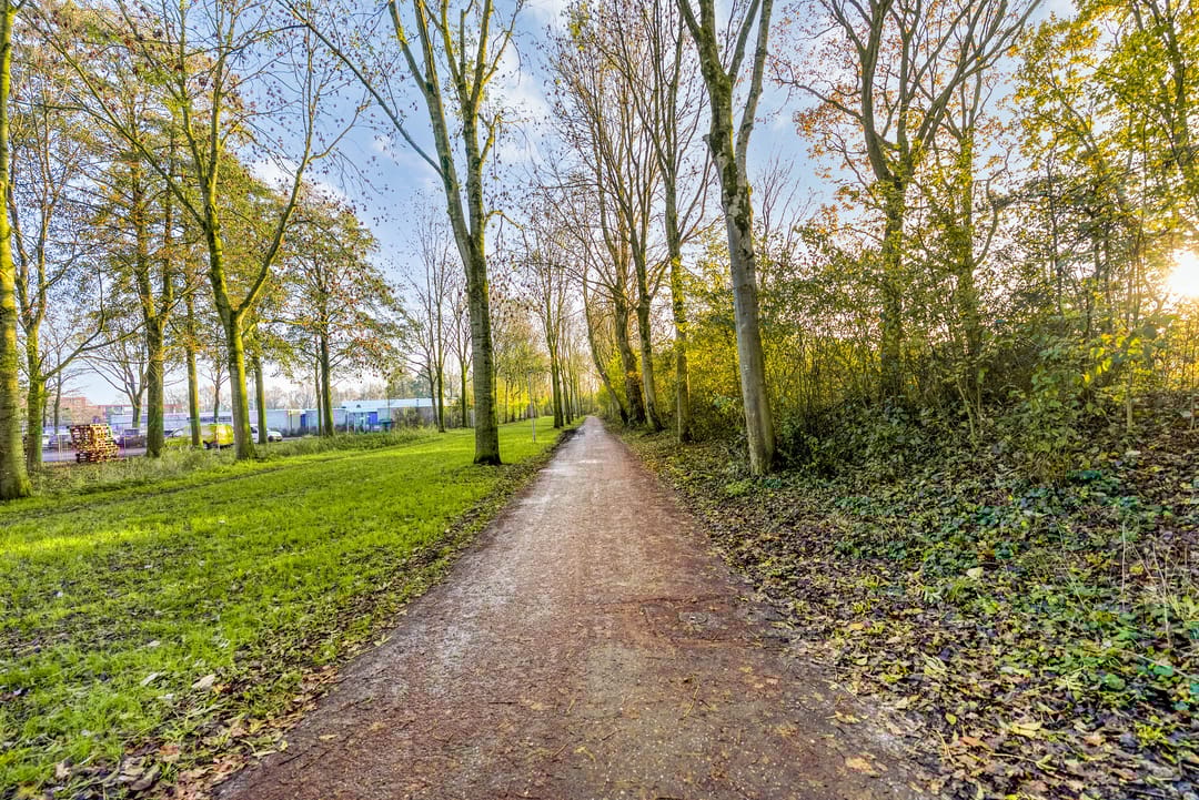 Foto 46 van Hagedis 27