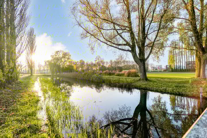 Foto 49 van Hagedis 27