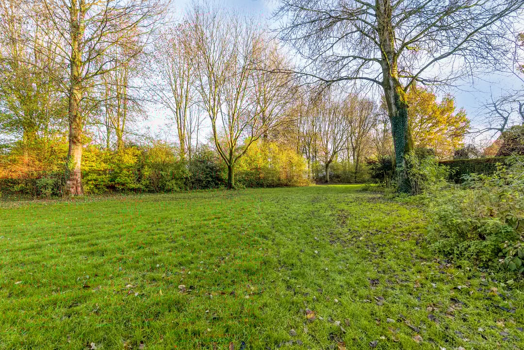 Foto 43 van Hagedis 27