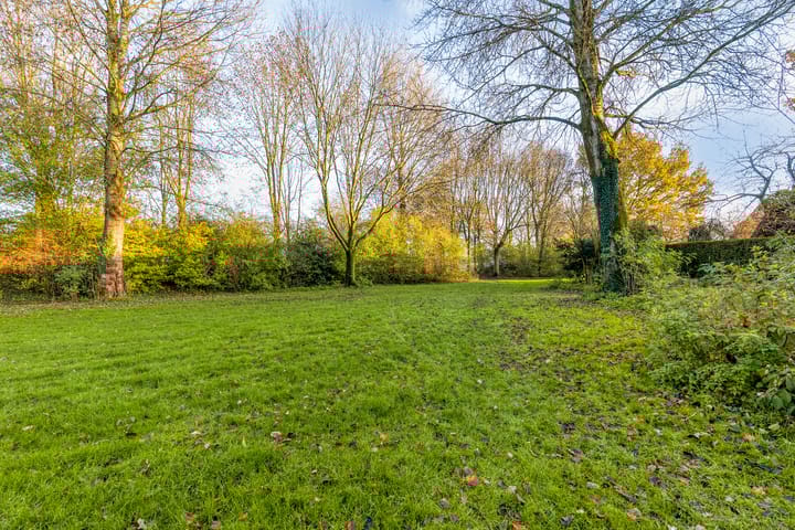 Foto 43 van Hagedis 27