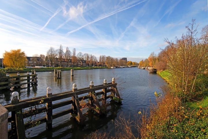 Foto 19 van Laan van Nieuw-Guinea 85-BS