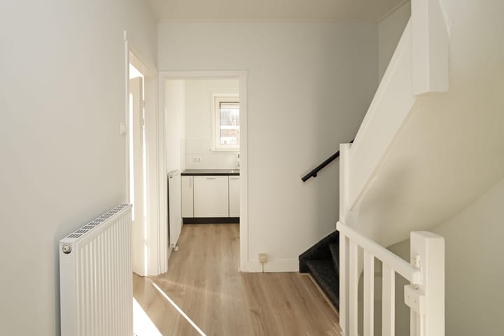 Foto 7 van Laan van Nieuw-Guinea 85-BS