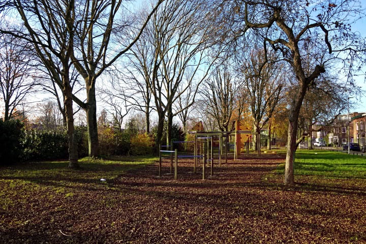 Foto 18 van Laan van Nieuw-Guinea 85-BS