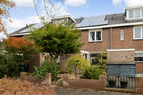 Titus Brandsmastraat thumbnail