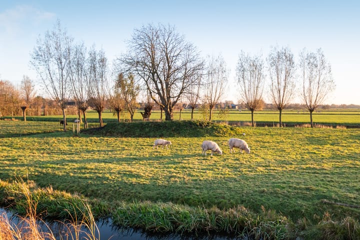 Foto 40 van Gruttostraat 1