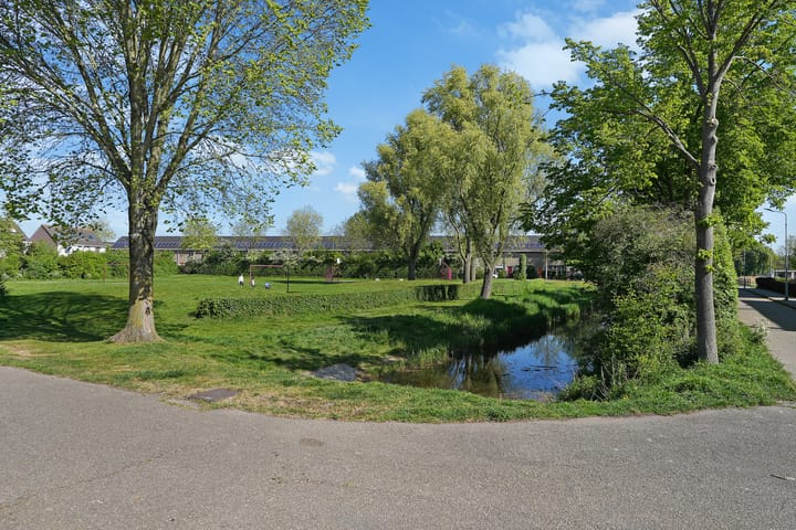 Foto 31 van de Beiaard 65