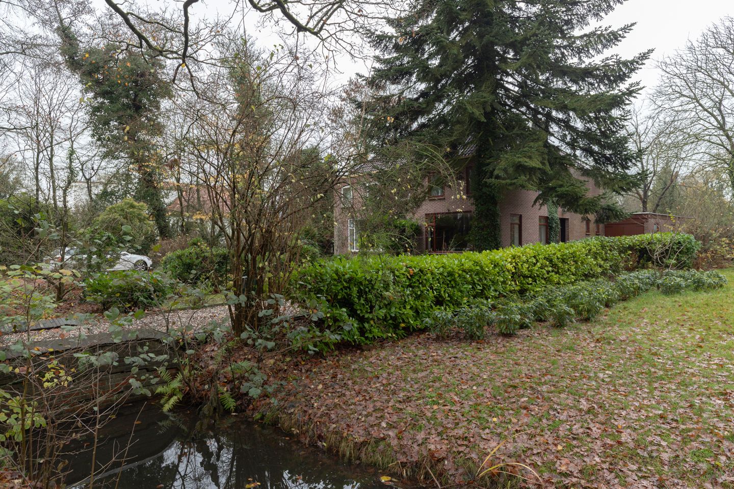 Foto 4 van de Gast 8-A