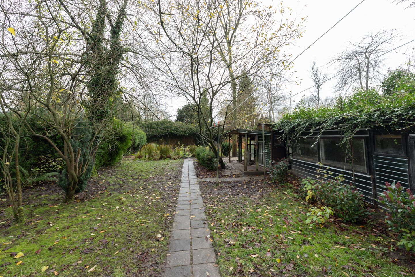 Foto 20 van de Gast 8-A