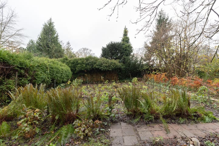 Foto 21 van de Gast 8-A