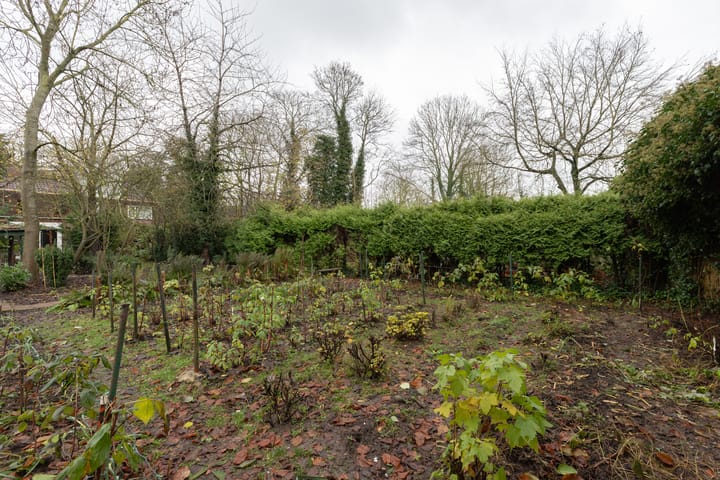 Foto 22 van de Gast 8-A