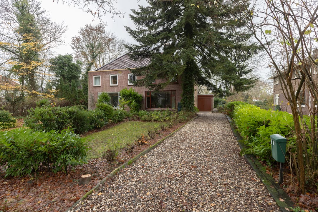 Foto 46 van de Gast 8-A