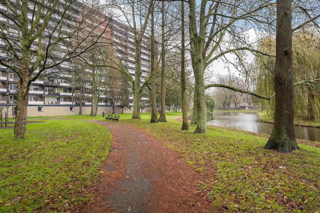 Foto 26 van Schubertplein 53