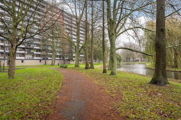 Foto 26 van Schubertplein 53