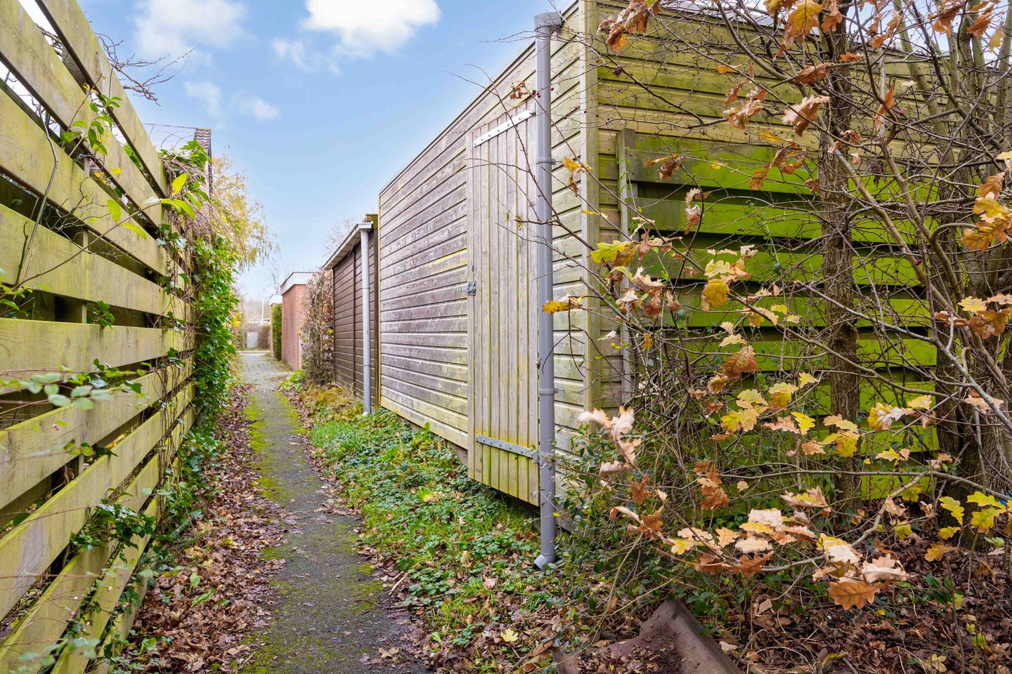 Foto 49 van Houtzagerij 10