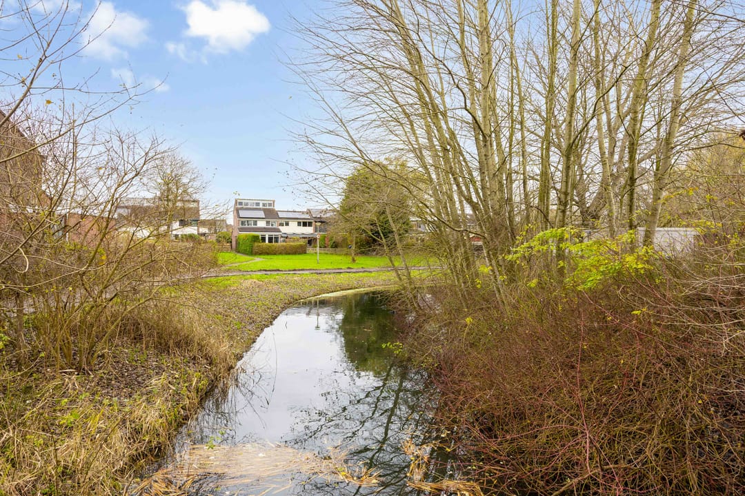 Foto 53 van Houtzagerij 10