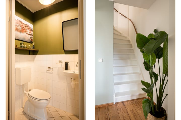 Foto 16 van Regenboogforel 42