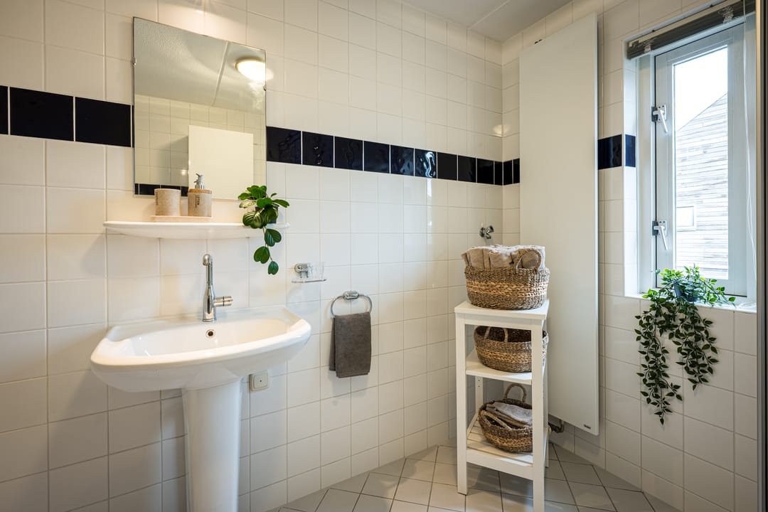 Foto 26 van Regenboogforel 42