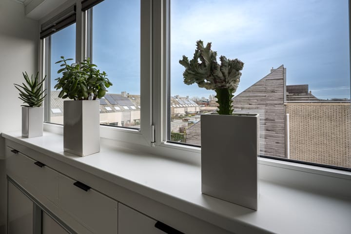 Foto 32 van Regenboogforel 42