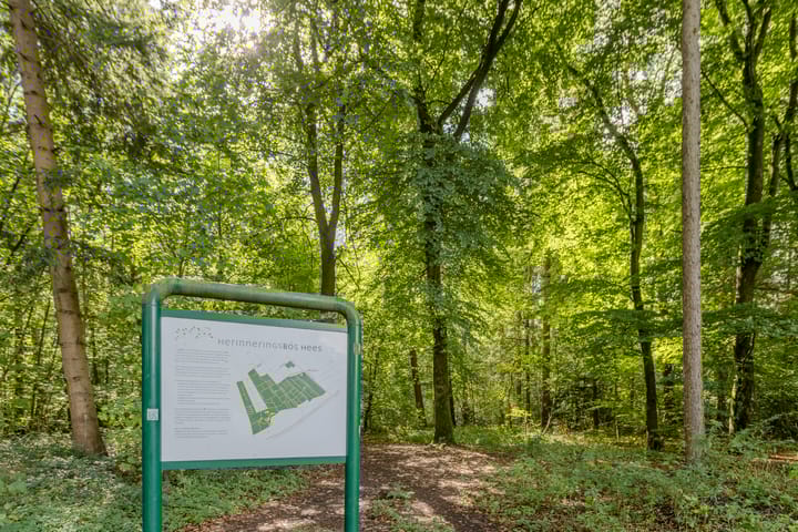 Photo 44 of Insingerstraat 8