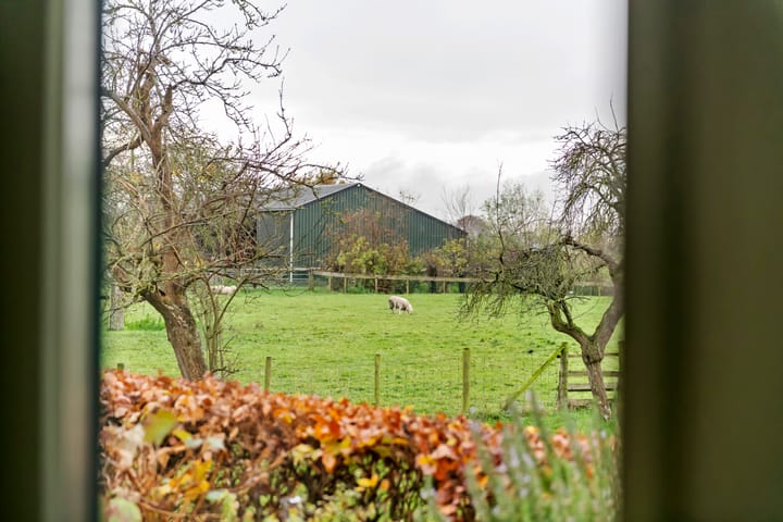 Photo 54 of Lekbandijk 31