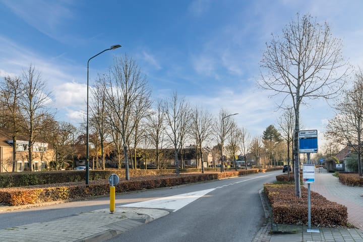 Photo 50 of Helleneind 42