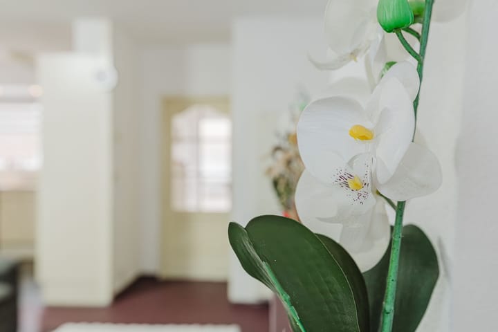 Foto 12 van Diamantdijk 180