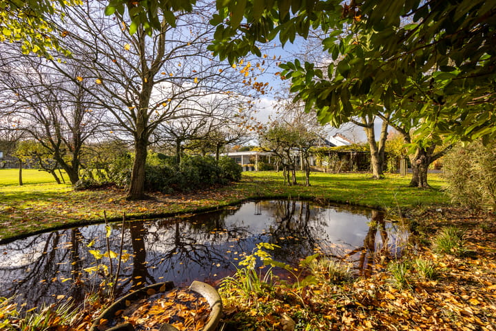 Foto 41 van Uiterdijk 4