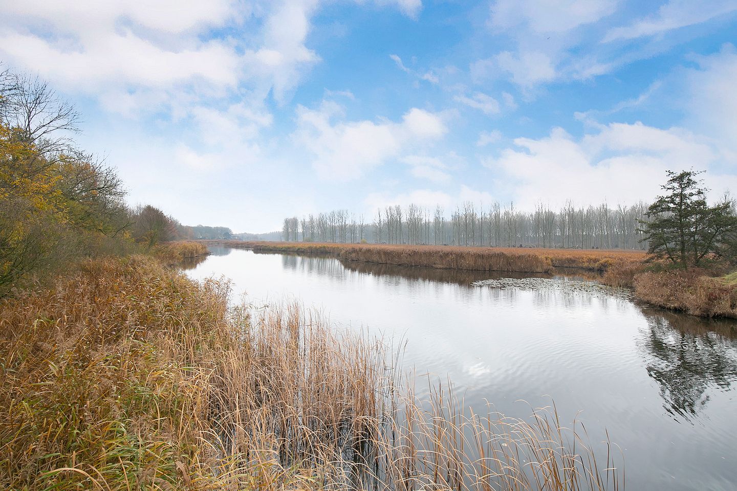 Foto 25 van Ds. Jan Scharpstraat 22