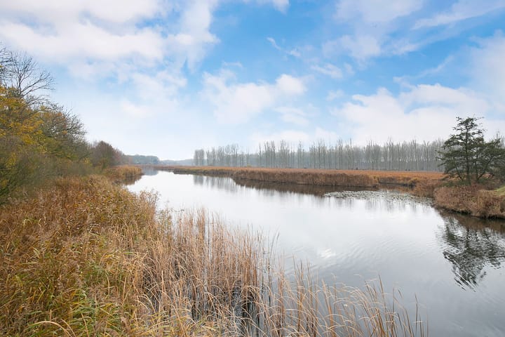 Foto 25 van Ds. Jan Scharpstraat 22