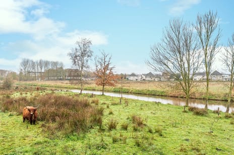 Florijn 1 tertiary image