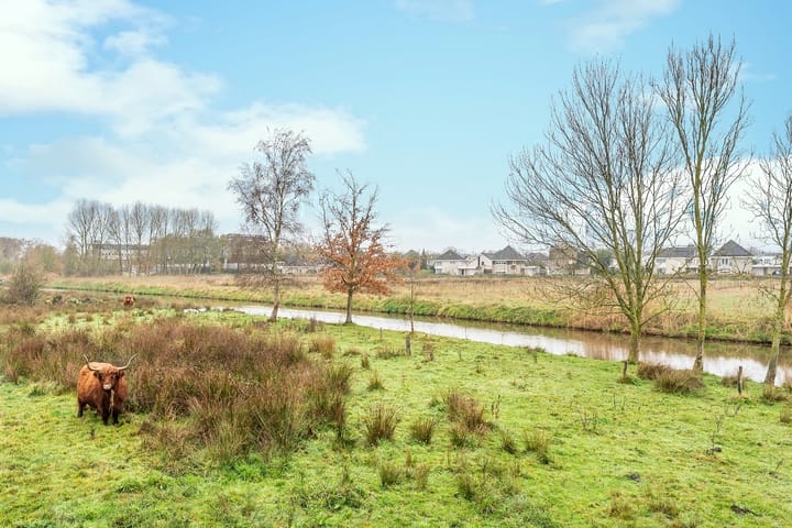 Foto 3 van Florijn 1