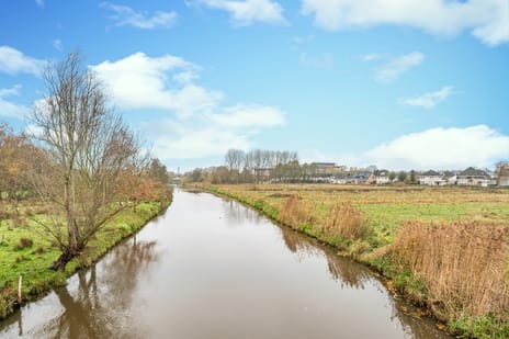 Florijn 1 tertiary image