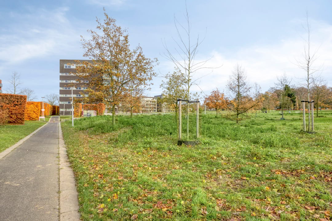 Foto 38 van Molenveldlaan 218