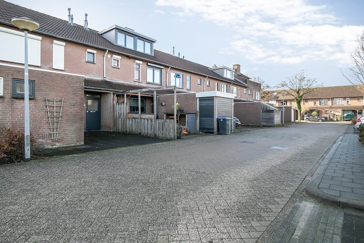 Foto 3 van Galjoen 22 58