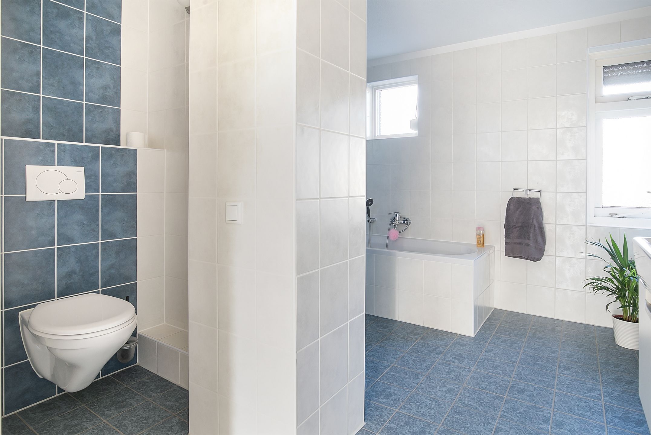 Foto 18 van Galjoen 22 58