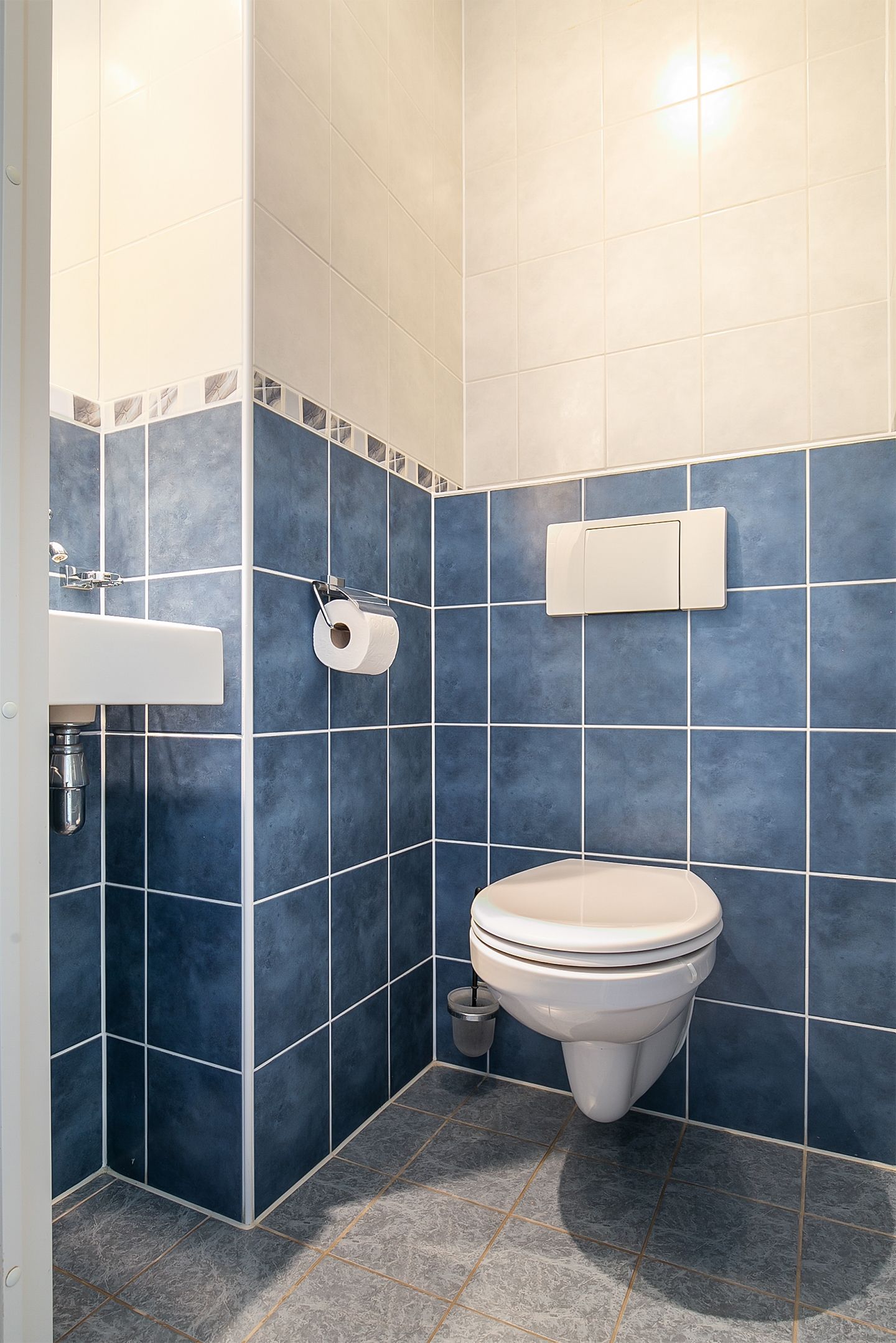 Foto 39 van Galjoen 22 58