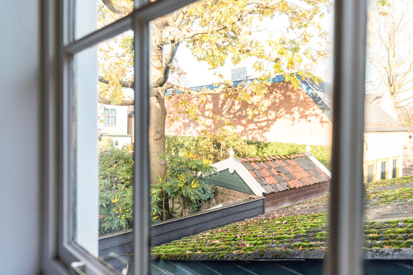 Photo 20 of Looierspoort 13