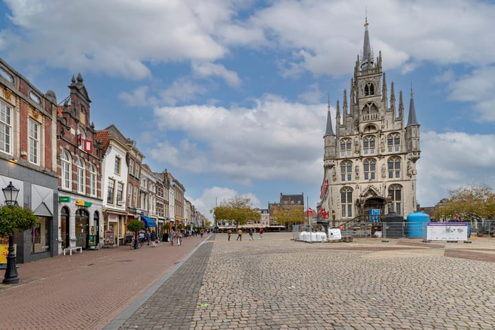 Foto 28 van Looierspoort 13