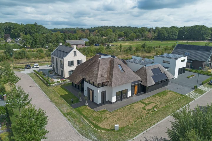 Foto 8 van Vrouwenmantel 13