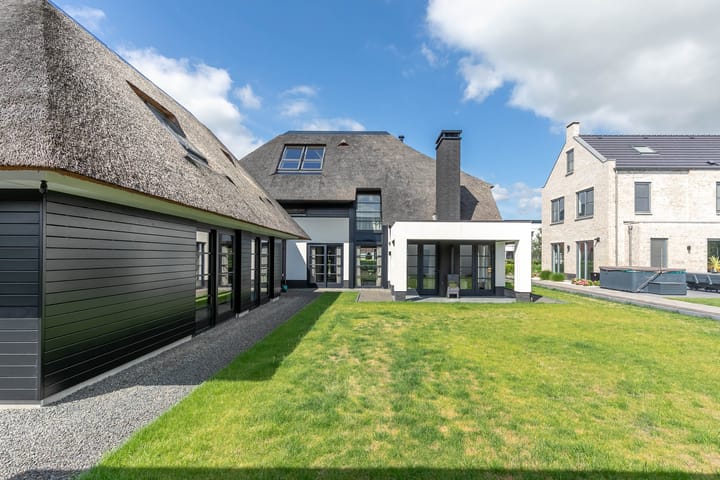 Foto 50 van Vrouwenmantel 13