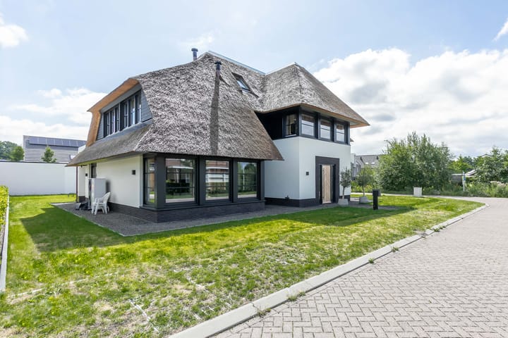 Foto 51 van Vrouwenmantel 13