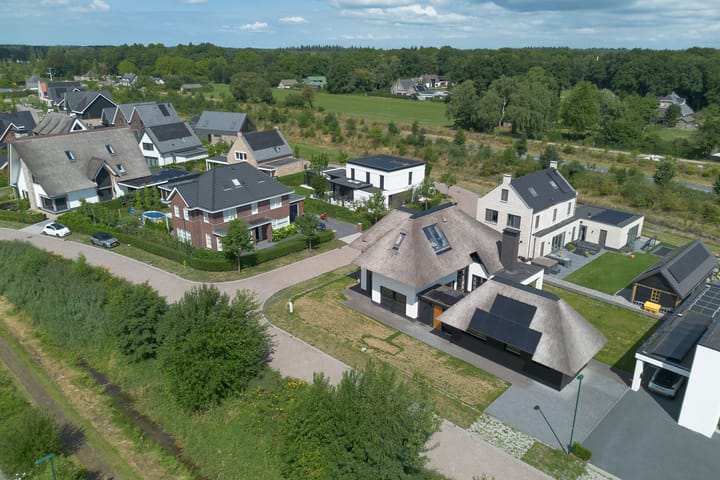 Foto 54 van Vrouwenmantel 13