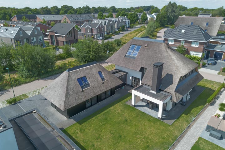 Foto 55 van Vrouwenmantel 13