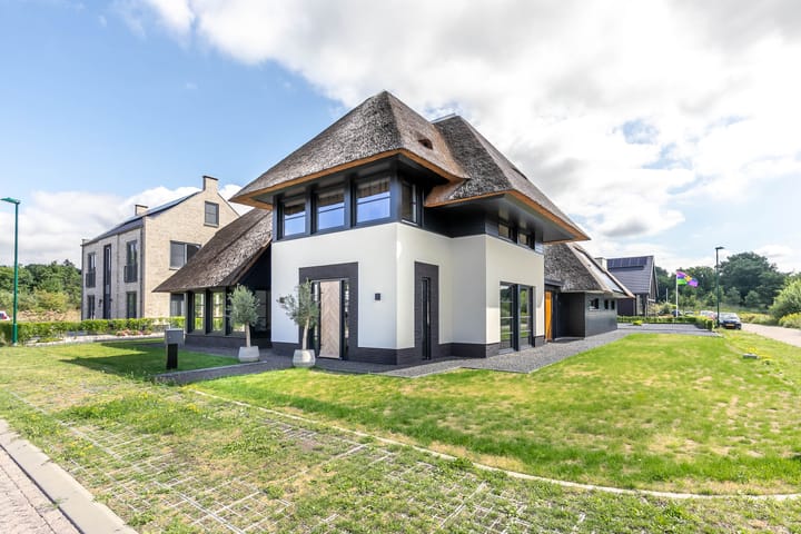 Foto 56 van Vrouwenmantel 13