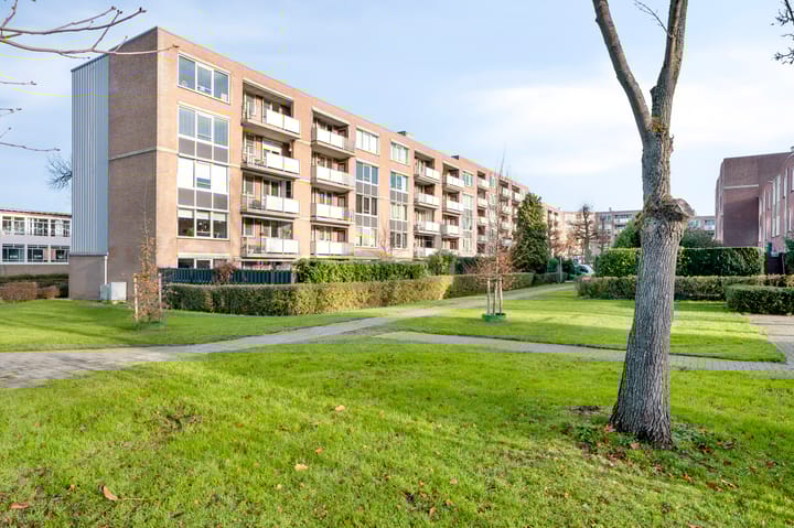 Photo 22 of Blijdestein 6