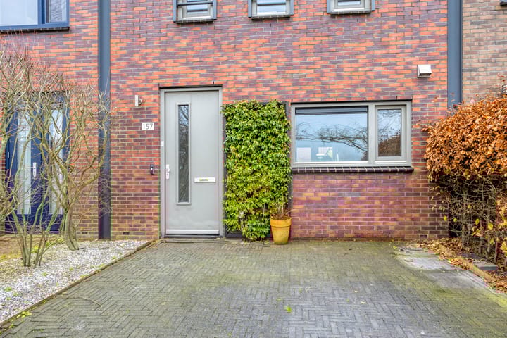 Photo 7 of Joeswerd 157