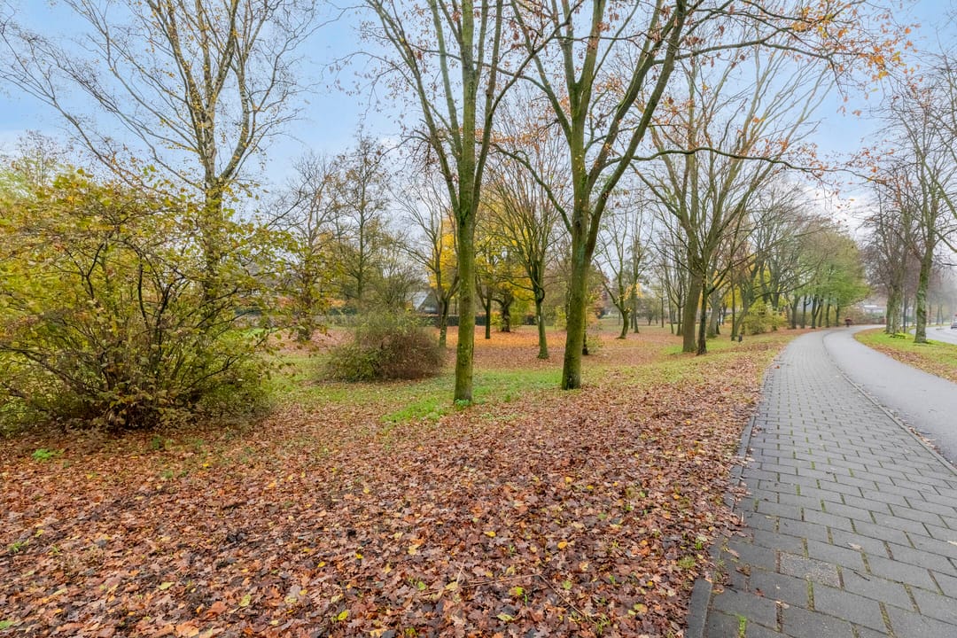 Foto 23 van Magnoliahof 69