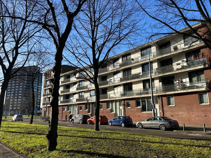 Foto 23 van Rochussenstraat 237-B