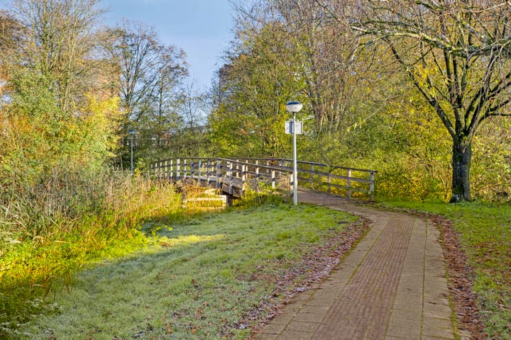 Photo 51 of Zoutelandehof 13