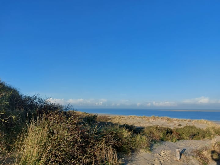 Photo 54 of Jan van Renesseweg 4